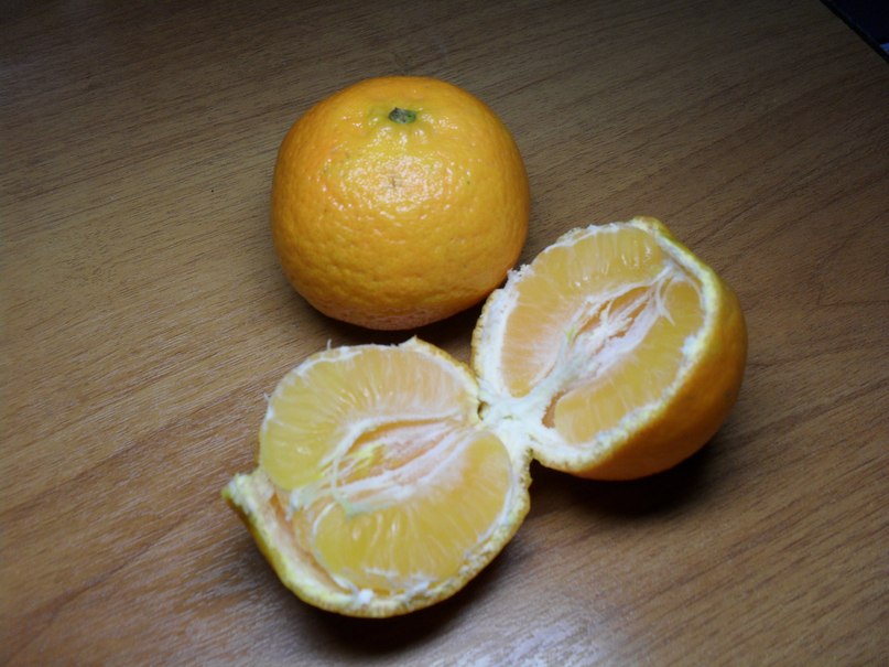 Елена Иванова | Тольятти