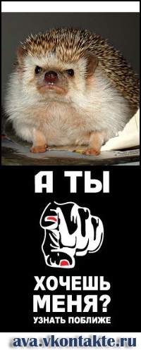 Фото профиля