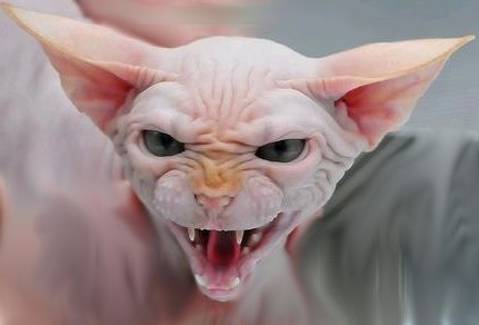 Paul G. | Великий Новгород