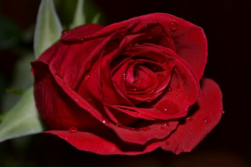 Ольга Ступина | Уфа