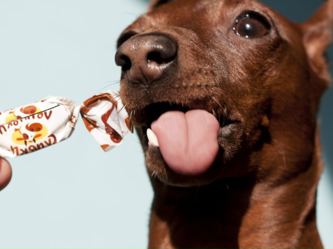 Виктория Штеркель | Челябинск