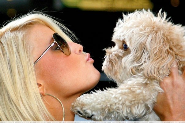 Виолетта Московская | Донецк