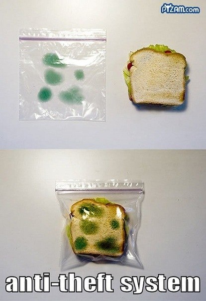 Павел Сапронов | Павловский Посад