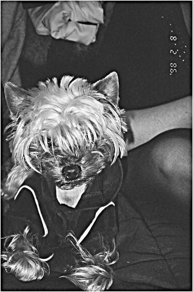 Фиса Евсеенкова | 