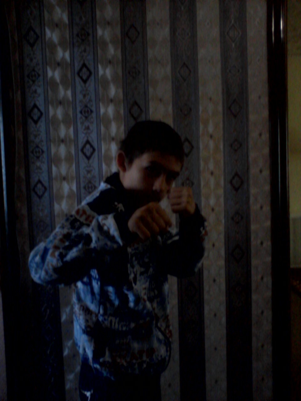 Дима пантюшин и саша липский дом с чердаком