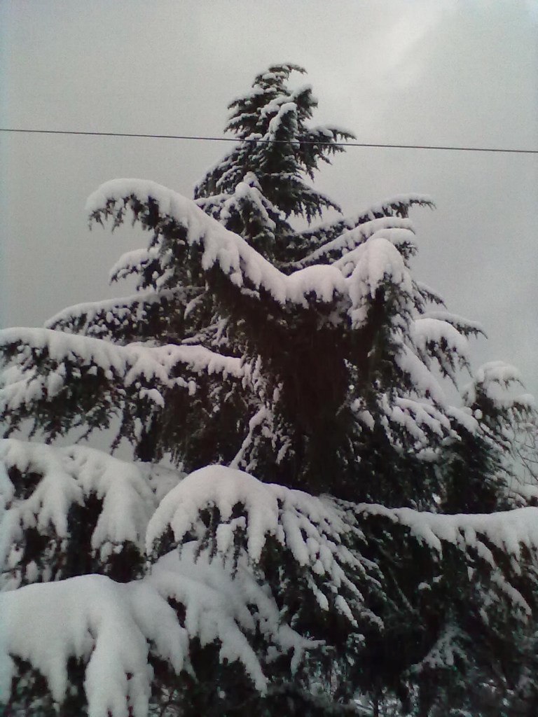 Сергей Мевший | Кривой Рог