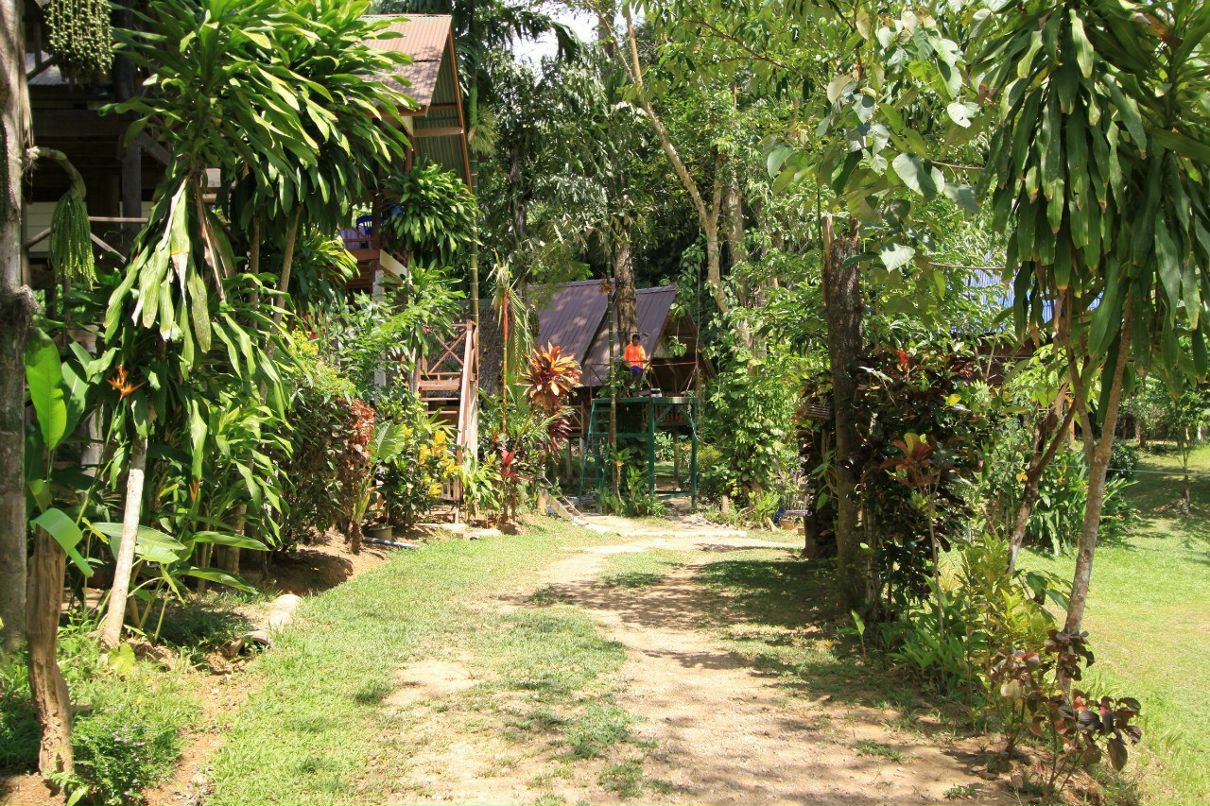 Александр Ковалёв | Paris