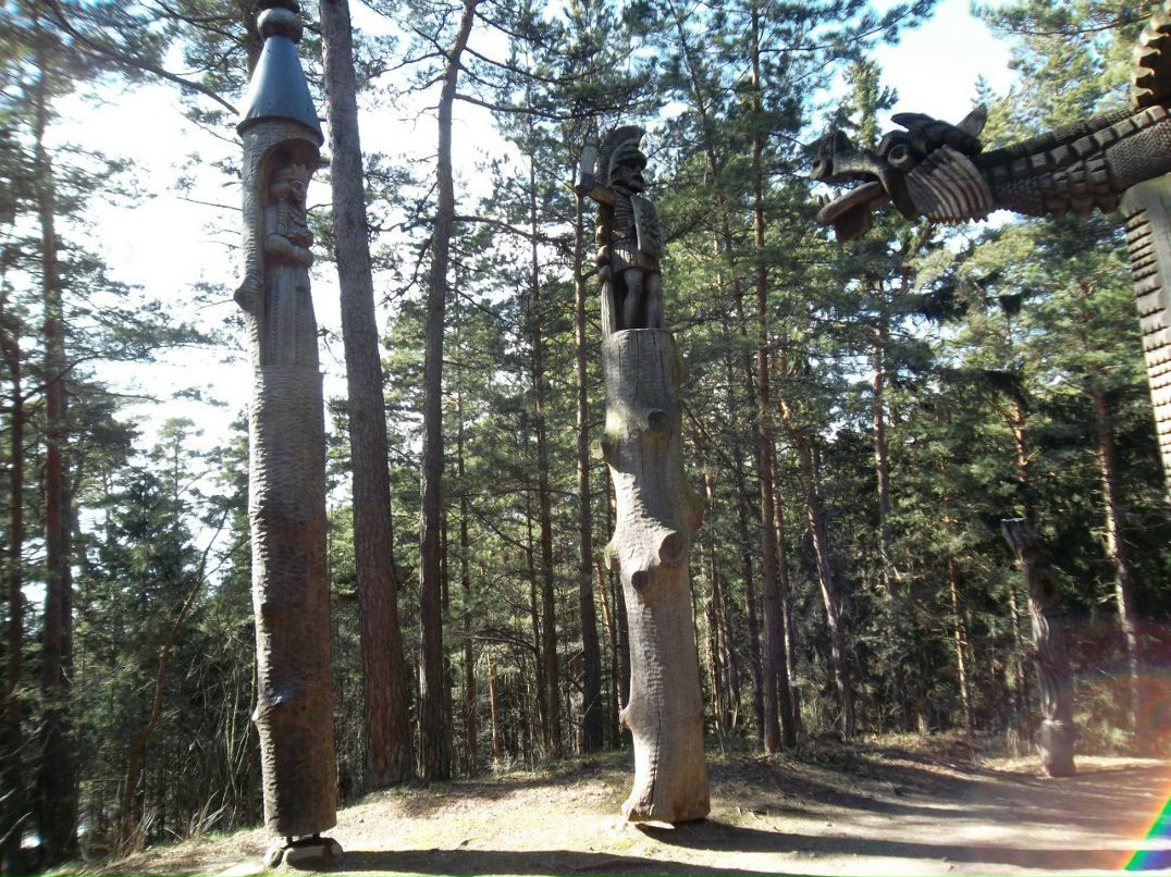 Константин Пигарёв | Санкт-Петербург