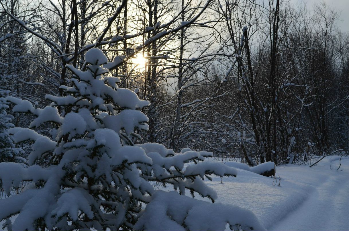 Семен Семенов | Тюмень