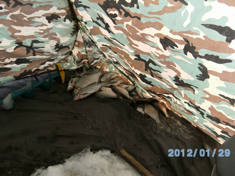 Алексей Гудин | Курган