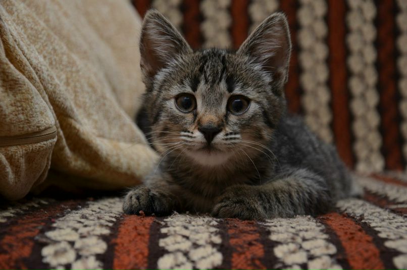 Роман Стрельчук |CTPAHnick| | Гомель