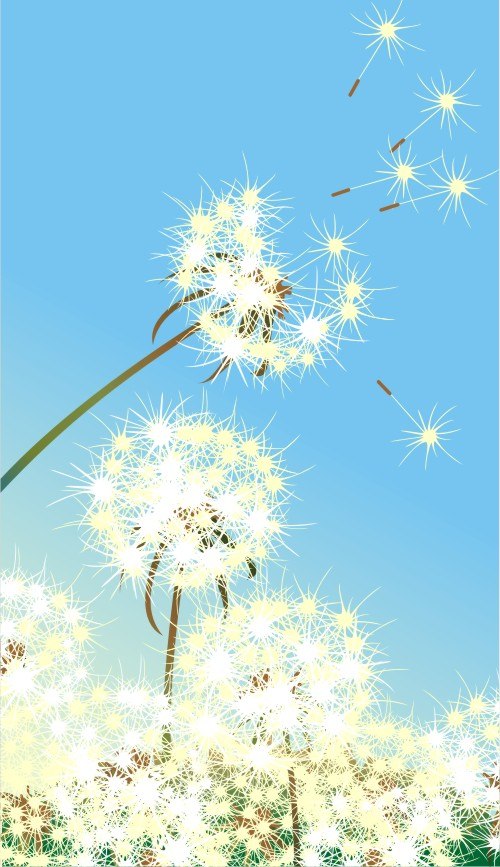 Лидия Теремязева | Санкт-Петербург