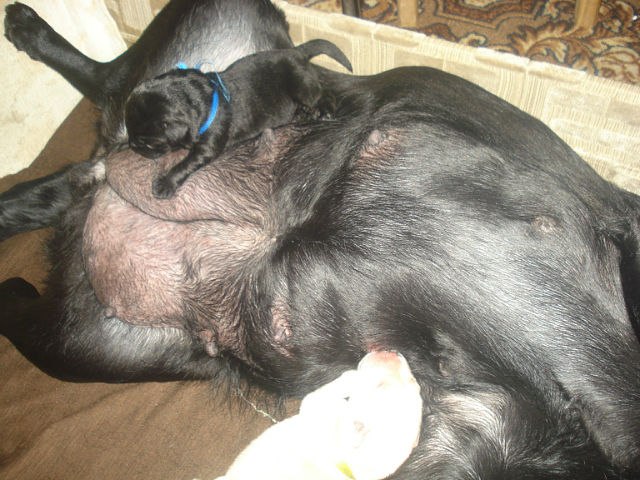 Анастасия Польская | Москва