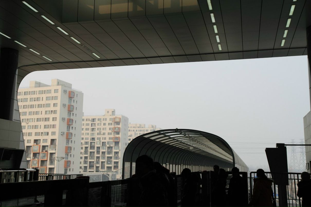 Елена Рогова | Москва