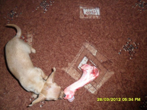 №141, Олеся Семакова, Северодвинск №141, Олеся Семакова, Северодвинск