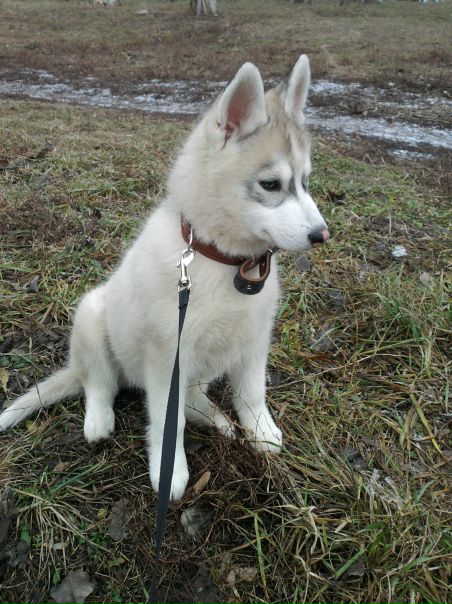 №46, Андрей Чесноков, 40 лет, Старый Оскол №46, Андрей Чесноков, 40 лет, Старый Оскол