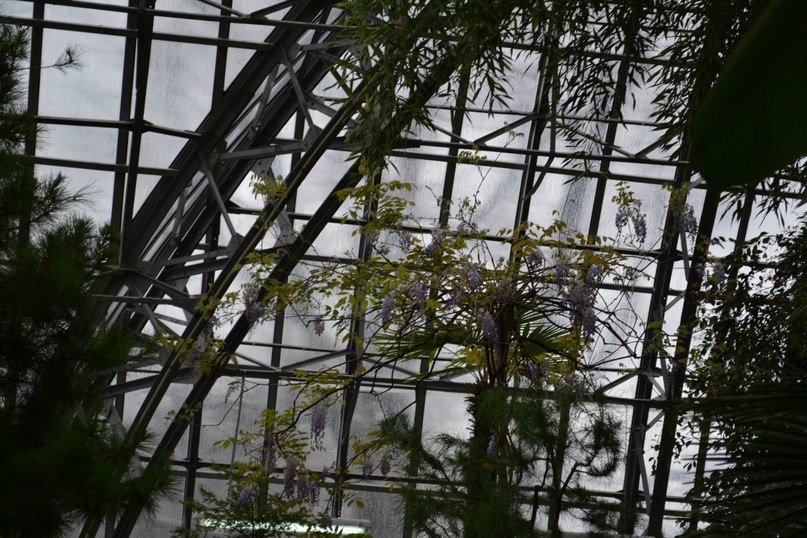 Юлия Никифорова | Санкт-Петербург