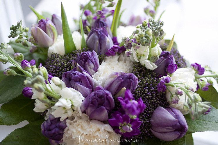 Марина Федорова | Санкт-Петербург