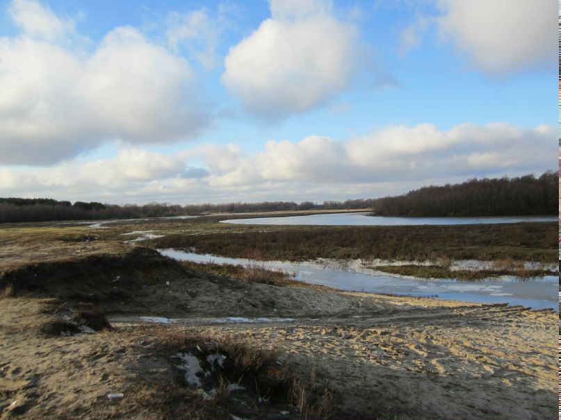 Елена Глуховская | Брянск