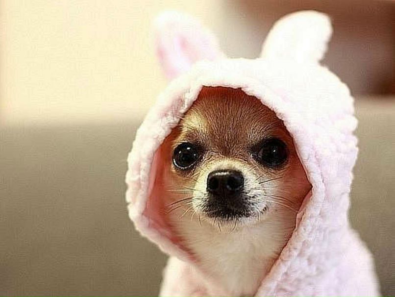 Ekaterina Velikaya | 