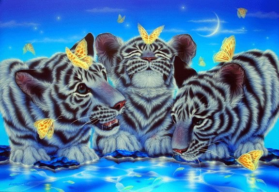 Елена Яхновец | Казань