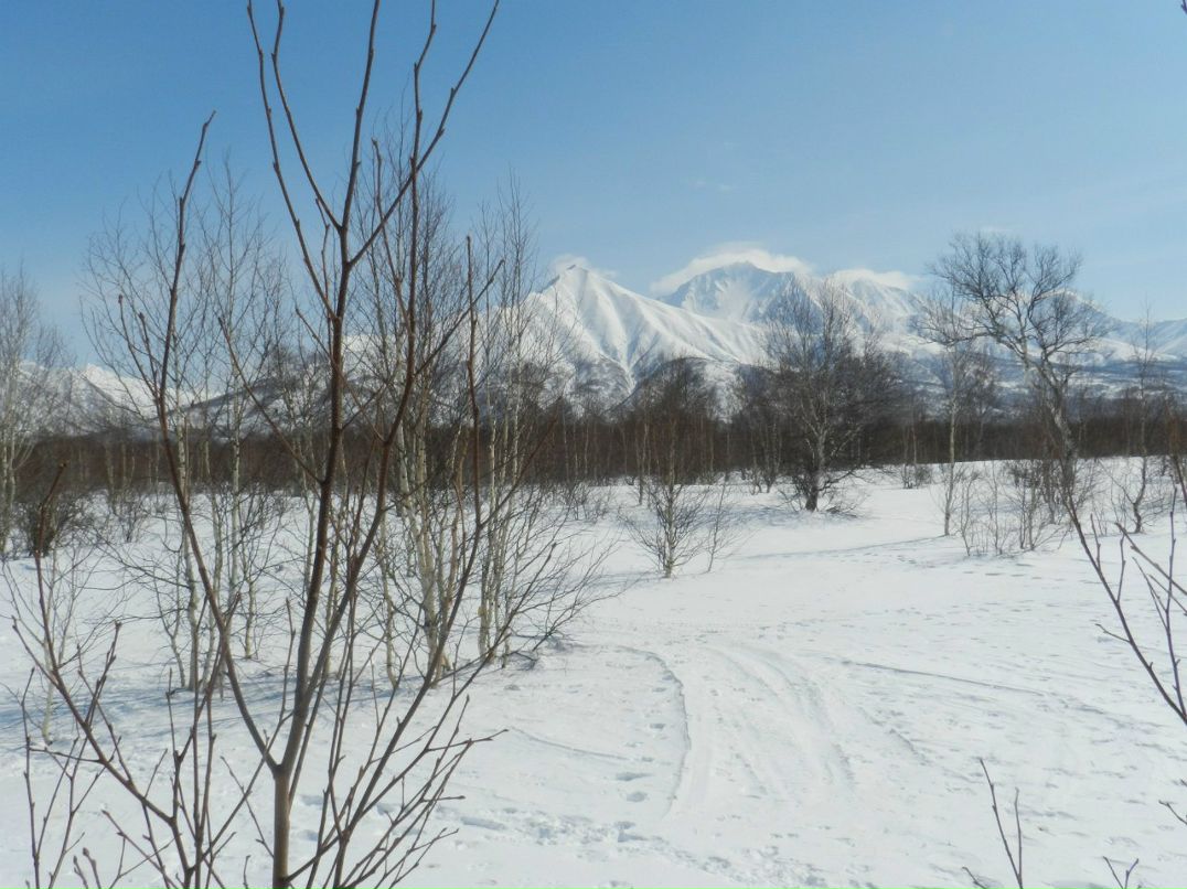 Илья Данченко | Елизово