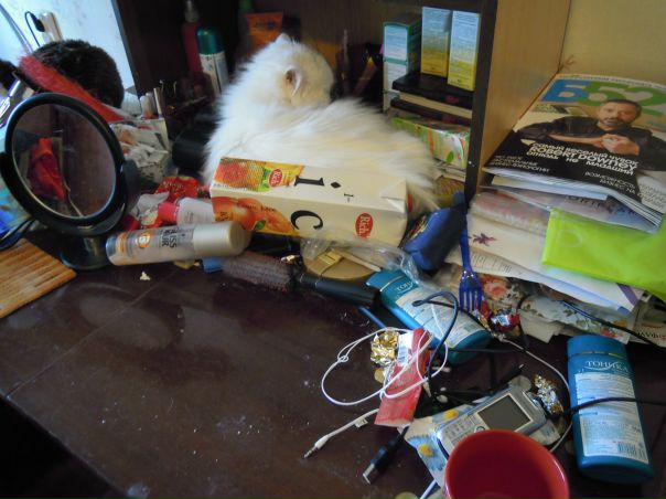 №51, Машка Рыбакова, 32 года, Киев №51, Машка Рыбакова, 32 года, Киев