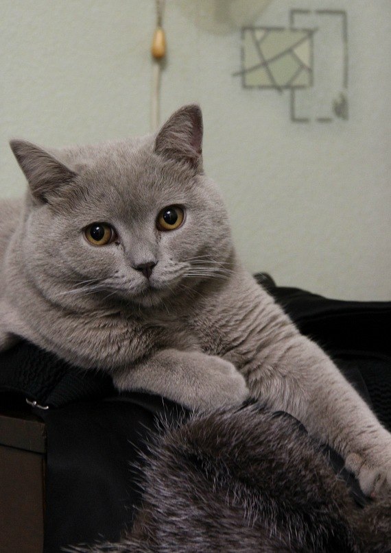 Федор Удавиченко | Тюмень