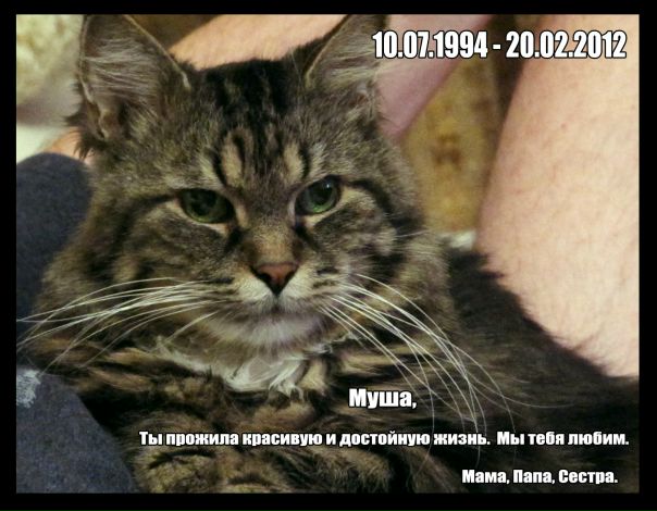 №42, Юлиана Савченко, Москва №42, Юлиана Савченко, Москва