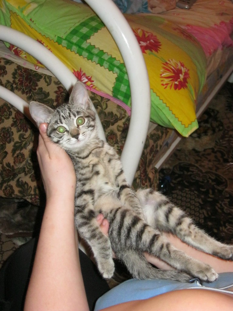 Лариса Ганченко | Норильск