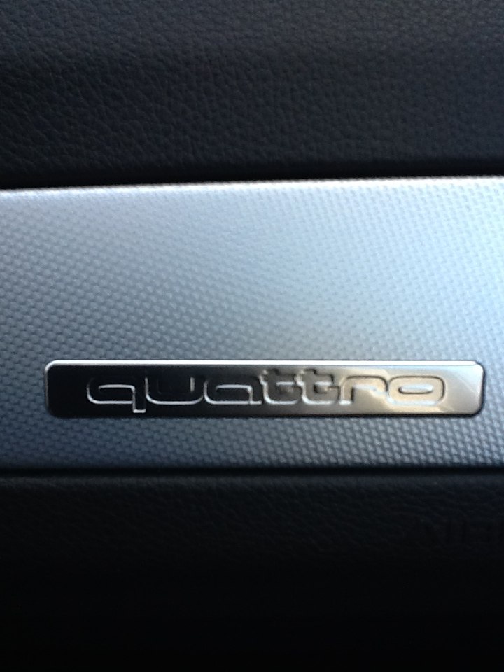 Галина Смольцева | Санкт-Петербург