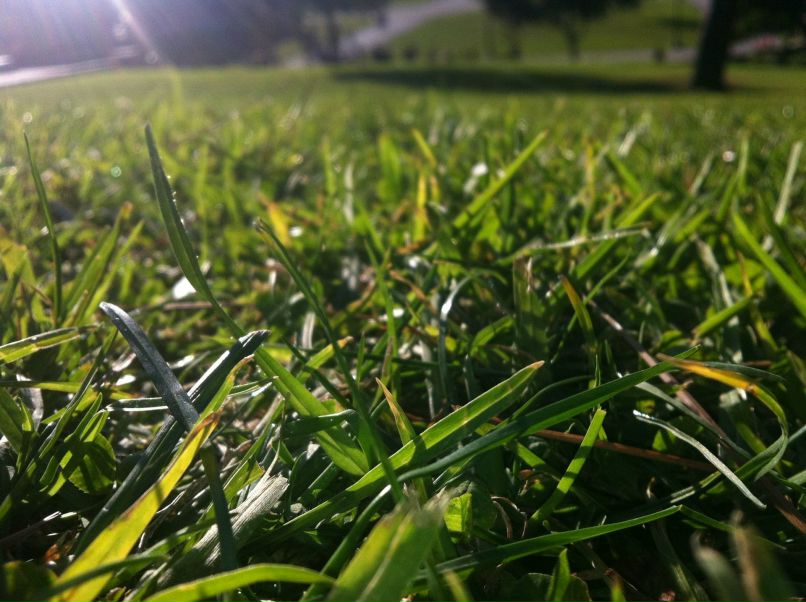 Елена Ли | Москва