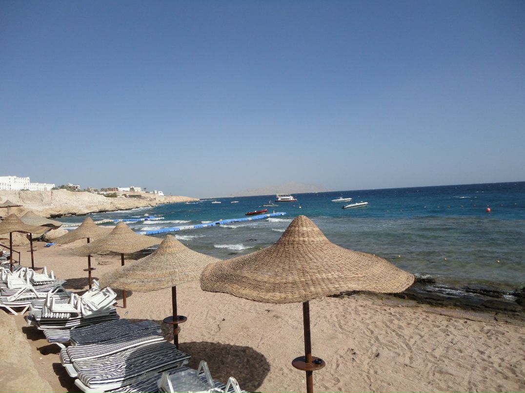 Юлия Задачина | Воронеж