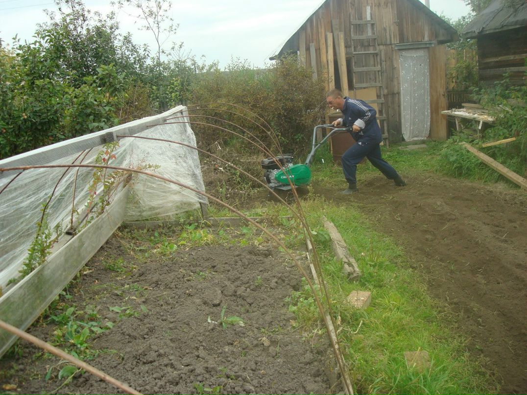 Андрей Некрасов | Новосибирск