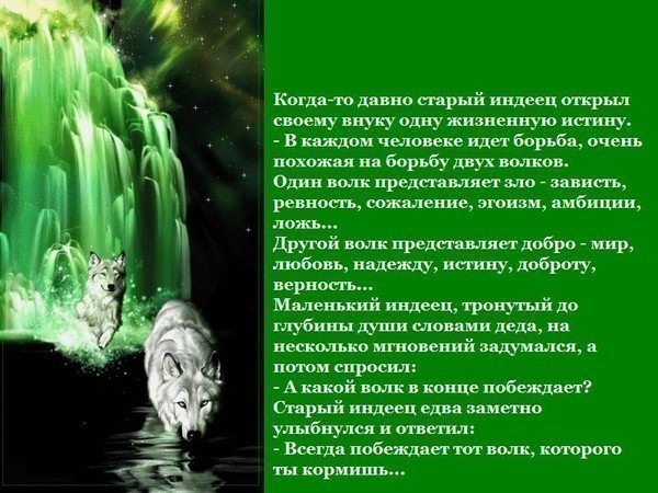№84, Виолетта Гаврина, 52 года, Минск №84, Виолетта Гаврина, 52 года, Минск