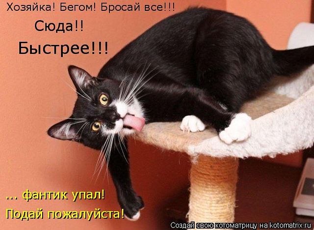 Екатерина Иванова | 