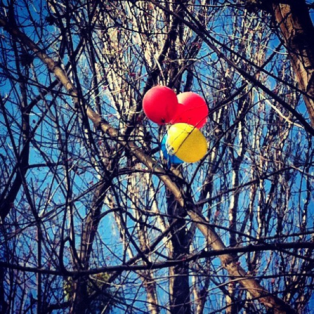 Сергей Матеров | Киев