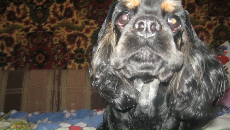 Анастасия Клименко ツ♥ツ♥ツкуклаツ♥ツ♥ツ | Краматорск