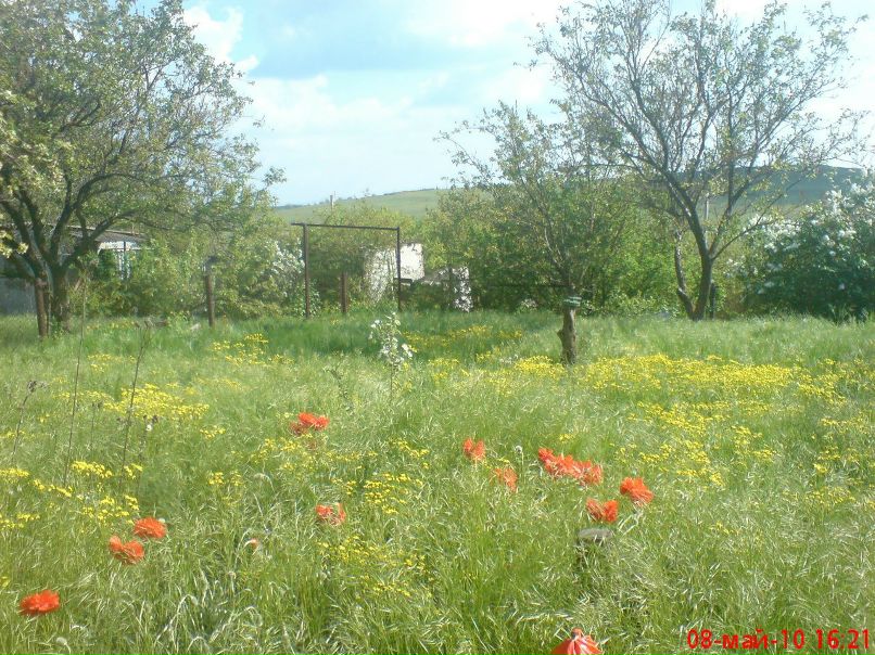 Яна Луценко | Одесса