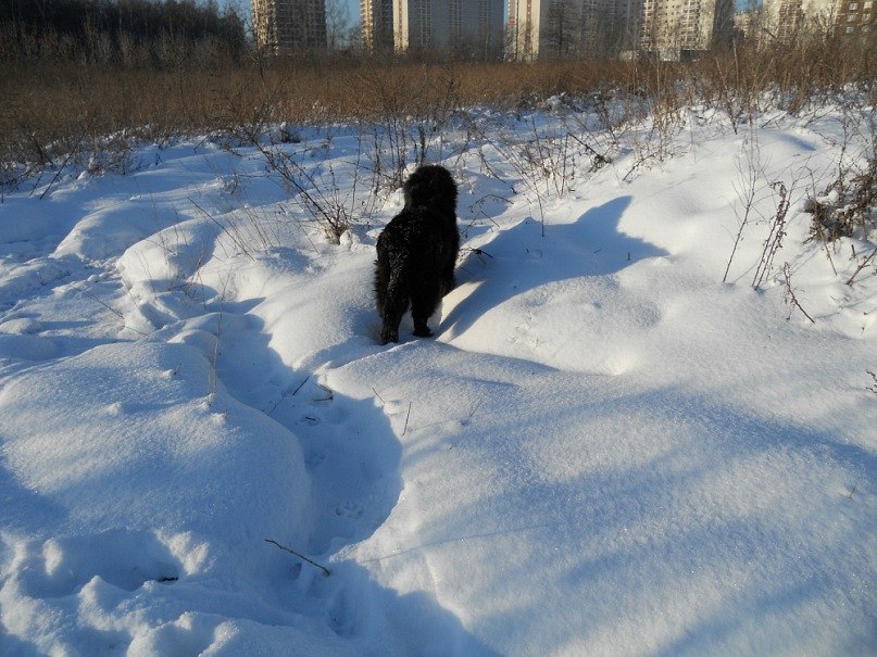 Мария Янина | Москва