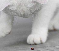 Аня Жуланова | Великий Новгород