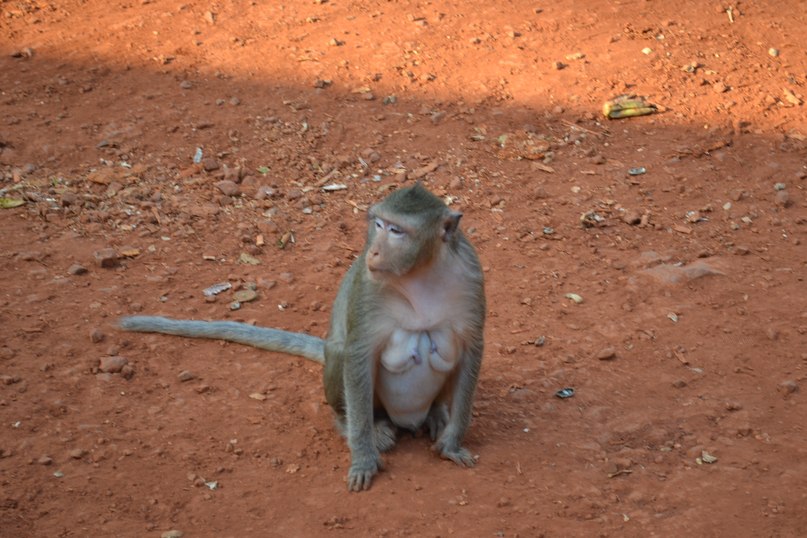 ~~~~~Kristen ~~~~~ | Москва