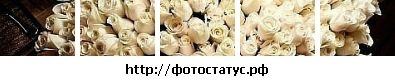 №35, Мария Семенова, 35 лет №35, Мария Семенова, 35 лет