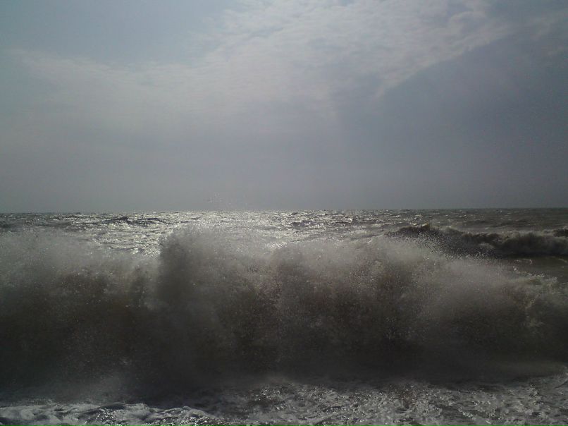 Федор Матюшенко | 