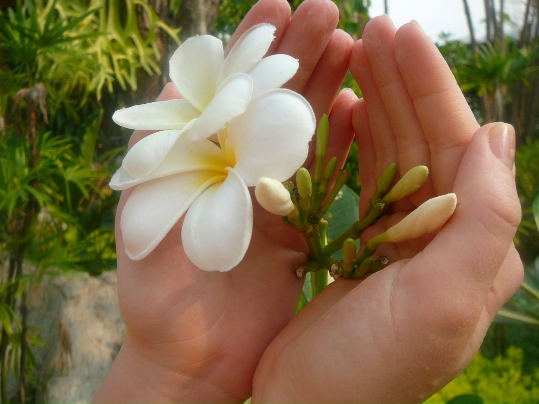 Vella Mur La | Пермь