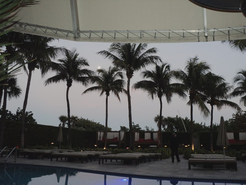 Ольга Курбатова | Genova