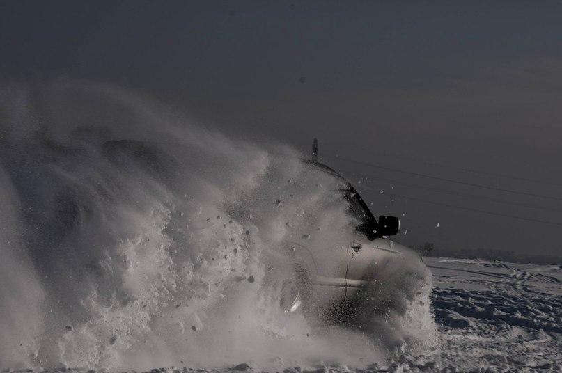 Савелий Муравьев | Новосибирск