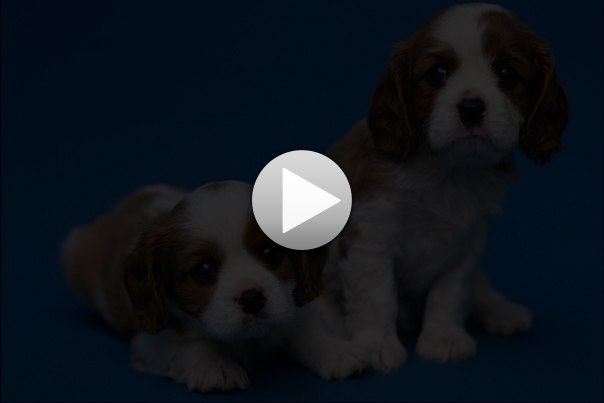 Артем Яшин | Кириши