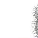 Олечка Худобердина | Саранск