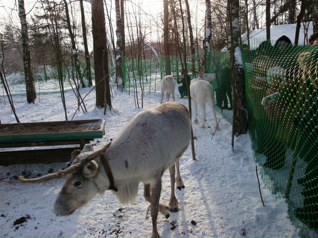 Татьяна Медведева | Москва